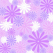 violet flowers