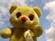 teddybär teddybär