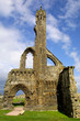 st andrews cathedral - fife - scotland