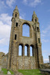 st andrews cathedral - fife - scotland