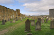 st andrews cathedral - fife - scotland