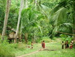 foret, laos