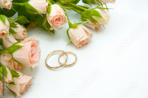 Photo: rings and roses rings and roses