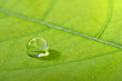 waterdrop on a leaf