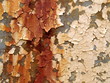 peeling paint