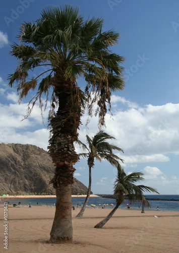 palm beach