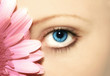 auge und blume
