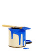 blue paint and brush