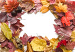 autumn frame