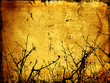 winter grunge background winter grunge background