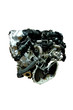 moteur détouré