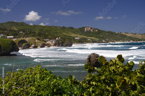 tropical coastline