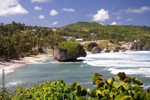 tropical coast