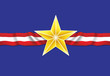 star - veterans usa