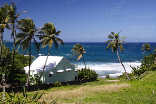 living in paradise