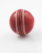 cricket ball