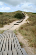 holzweg durch die dünen
