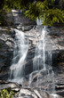 Photos : floresta da tijuca