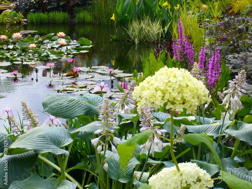 Photo: wonderful watergarden wonderful watergarden