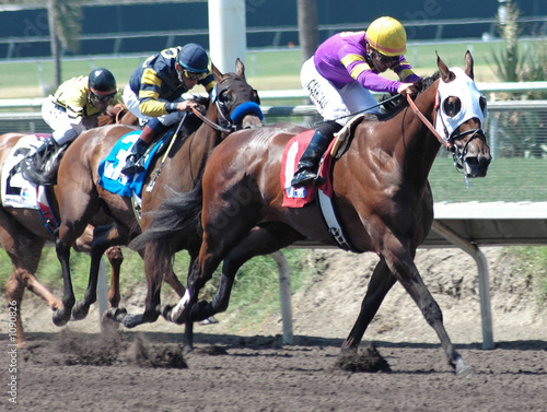 Photo: race horses & jockeys race horses & jockeys