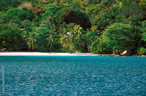 palm shaded beach ii