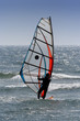 windsurfer