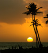 tropical sunset tropical sunset