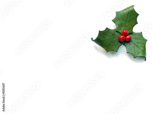 Photo: christmas holly with berries christmas holly with berries