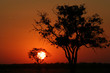 coucher de soleil et étoile filante