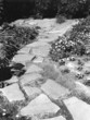 garden path garden path