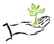 hand and tree