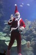 christmas greeting