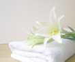 high key purity spa high key purity spa