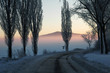 winter landscape