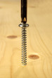 screwdriver and screw
