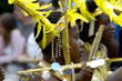 enfant et carnaval 4