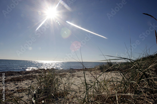 Foto: düne in dänemark düne in dänemark