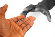 the deep reach out