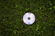 nature music