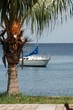 mouillage à l'ombre d'un cocotier