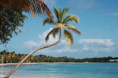 les salines les salines
