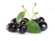 summertime: black cherry summertime: black cherry