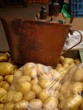 1 kilo kartoffeln