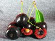 summertime: black cherry summertime: black cherry