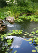 homemade pond