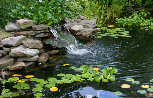 homemade pond