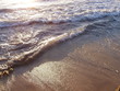 seashore