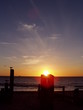 seagull silhouette