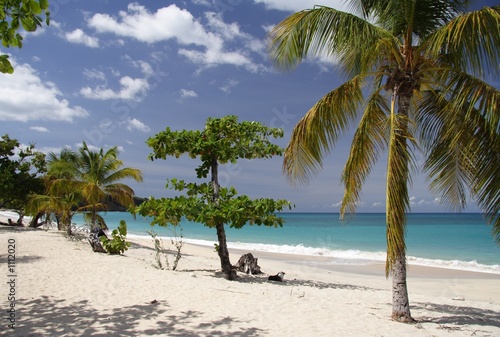 palm beach