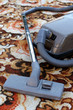 Photo en ligne au meilleur prix cleaning carpet